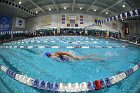 Swimming & Diving vs RWU  Swimming & Diving vs Roger Williams University. - Photo by Keith Nordstrom : Wheaton, Swimming
